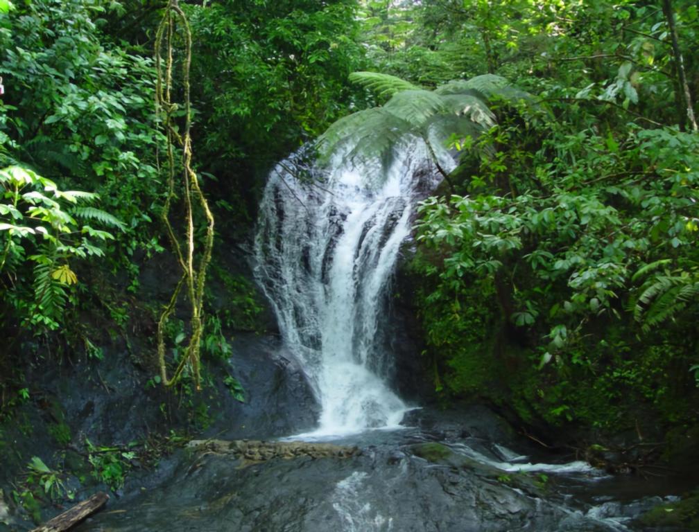 Light of Dawn, Quepos