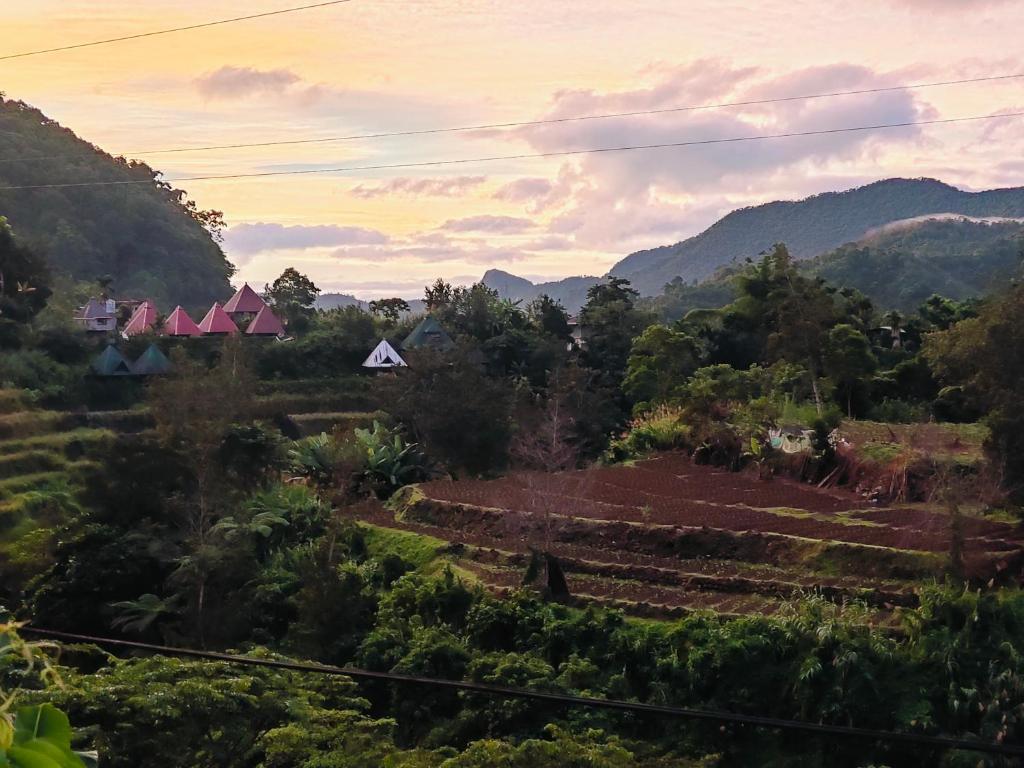 景色