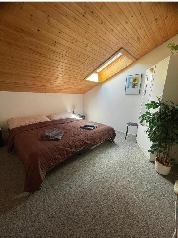 Ferienwohnung Doxa - 5