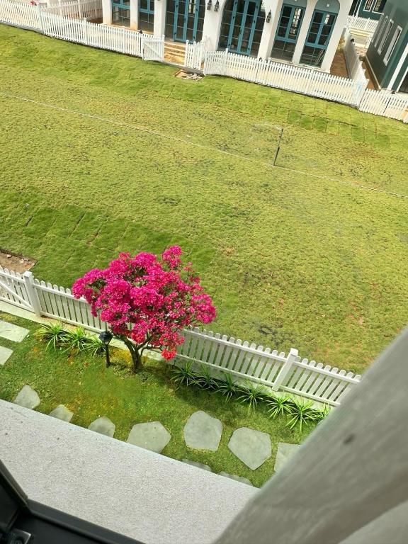 Novaworld Phan Thiết - Ako Villa, Bình Tú