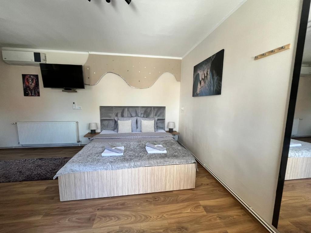 Apartman Irma sweet free parking old town near Bascarsija - 5