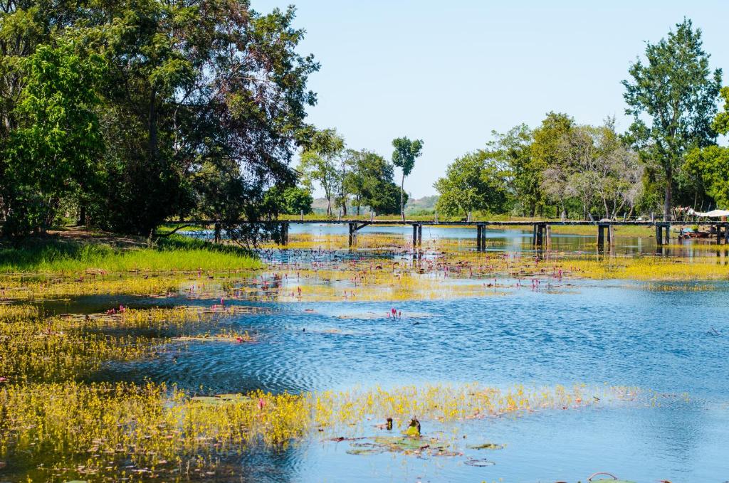 Surrounding environment