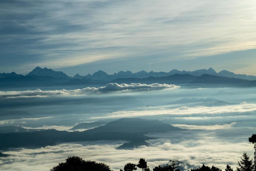 Surrounding environment