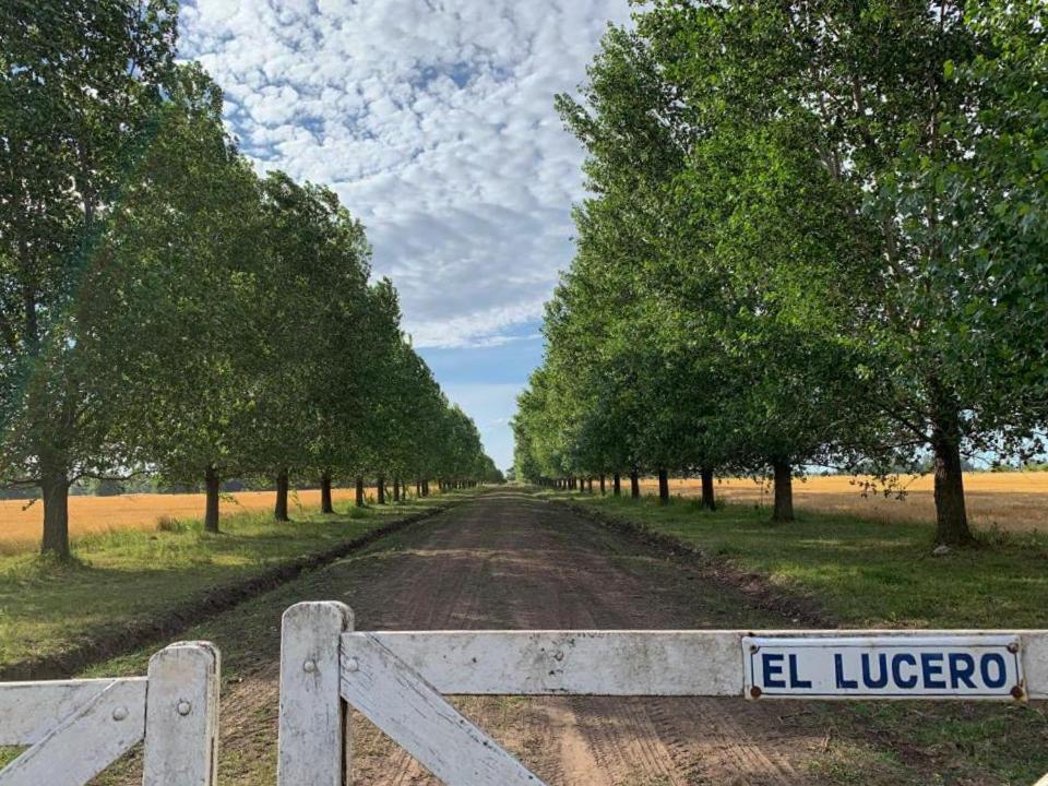El Lucero - Casa de Campo *, Lobos