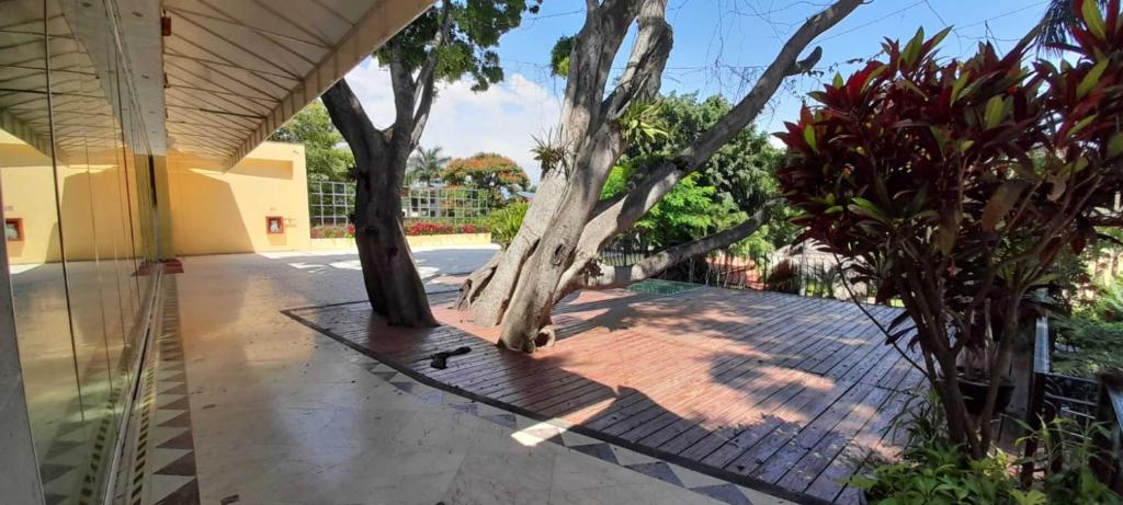 バルコニー/テラス