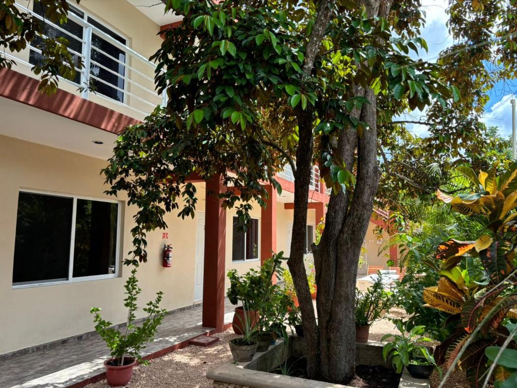 Casa del cenote, Valladolid