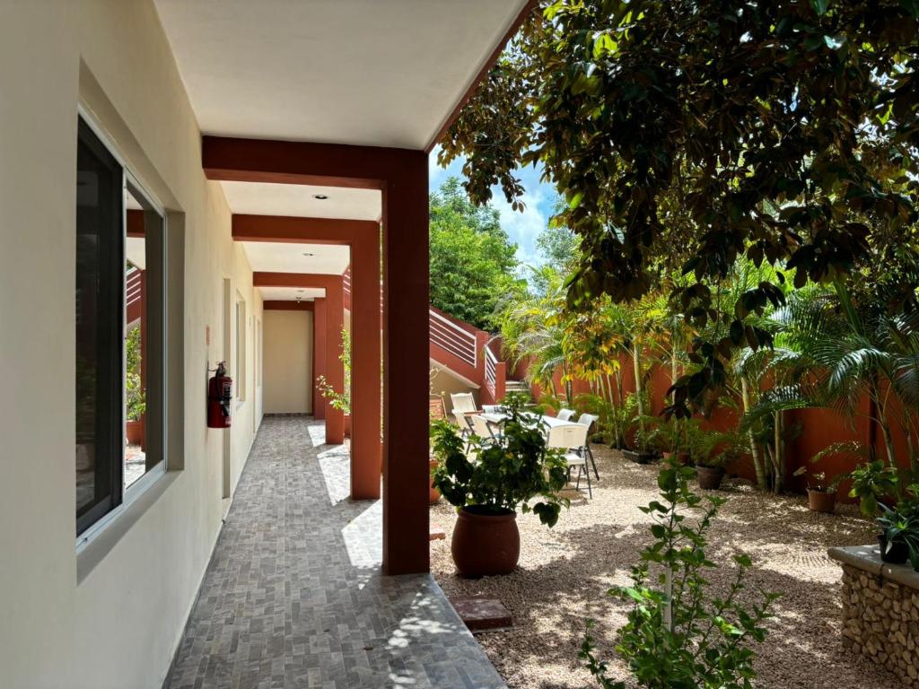 Casa del cenote - 3