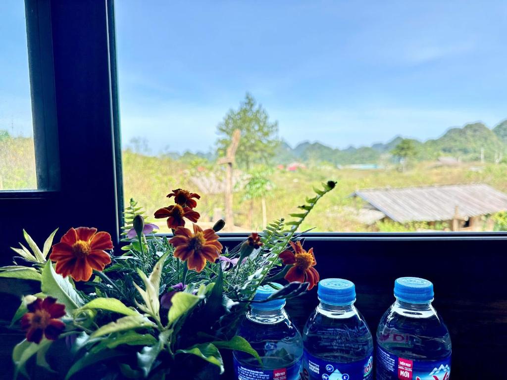 Hoa Phong homestay Moc Chau