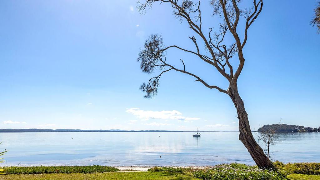 Foreshore Delight, Salamander Bay