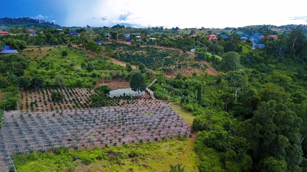 Surrounding environment
