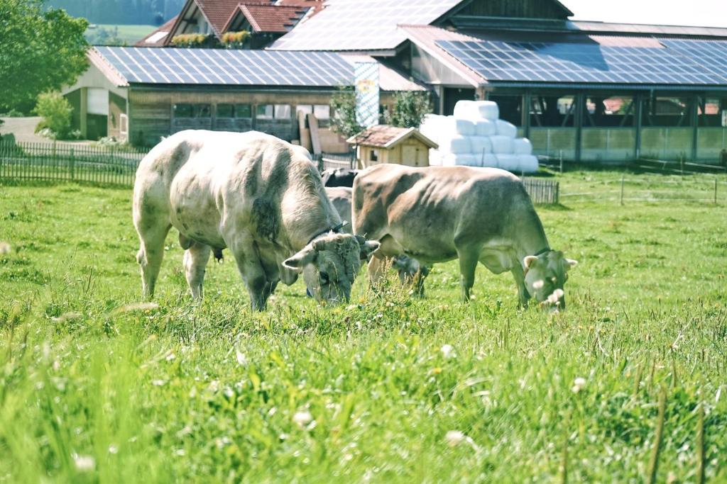 Schädlerhof - 3