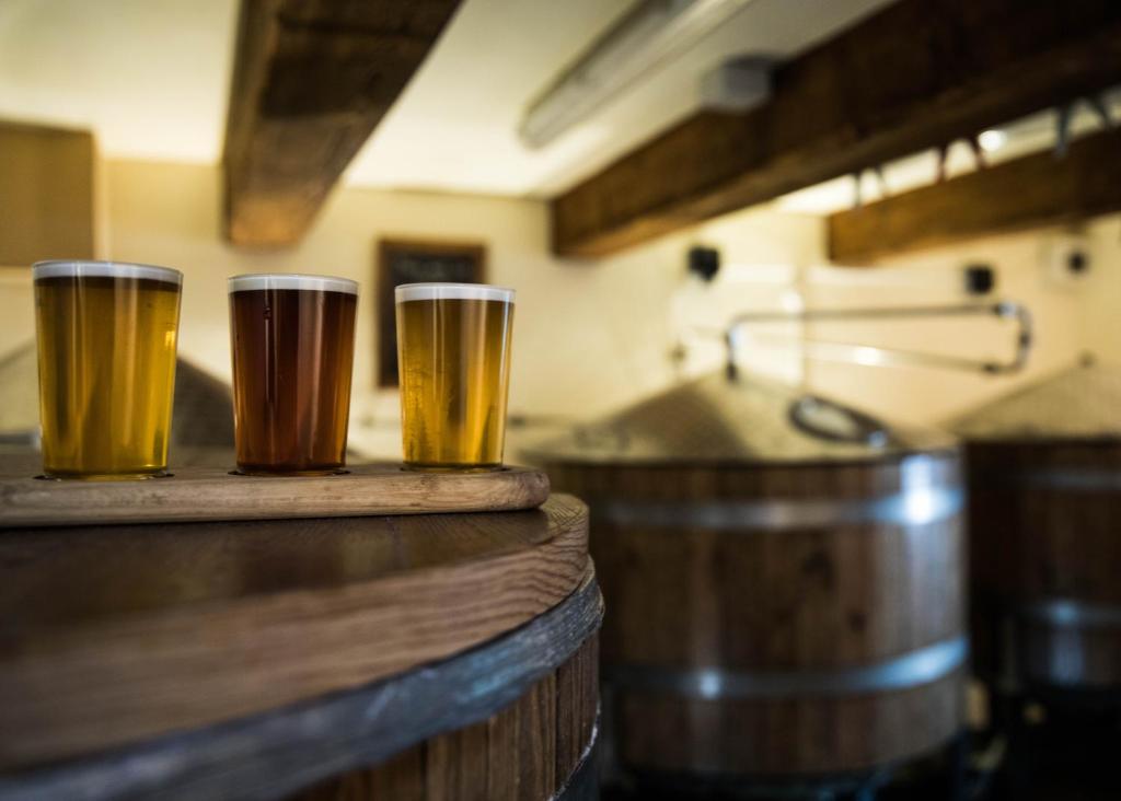 アクティビティ