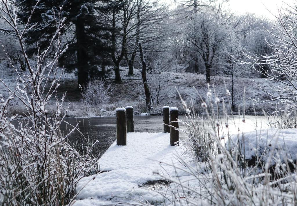 アクティビティ