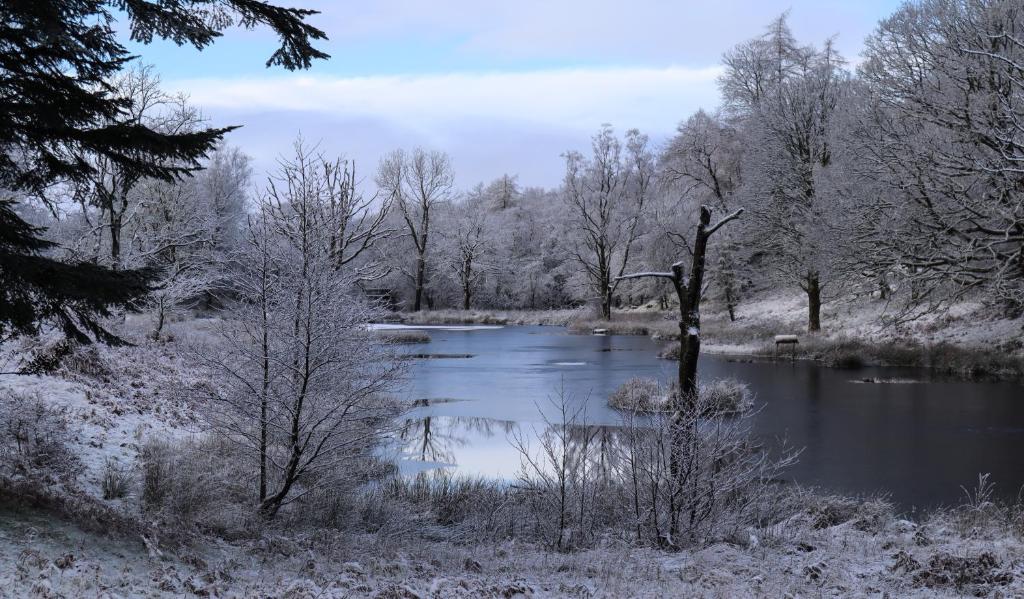 アクティビティ
