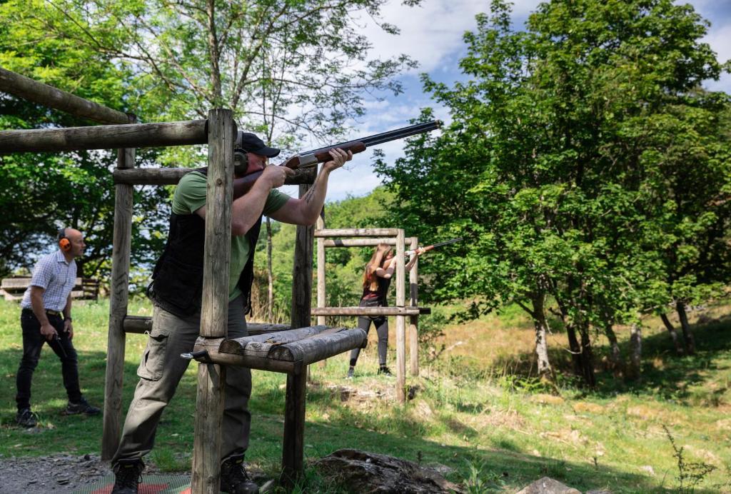 アクティビティ