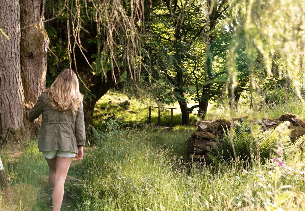 アクティビティ