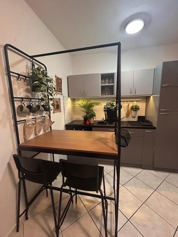 Studio Lucica, Petrovac na Moru