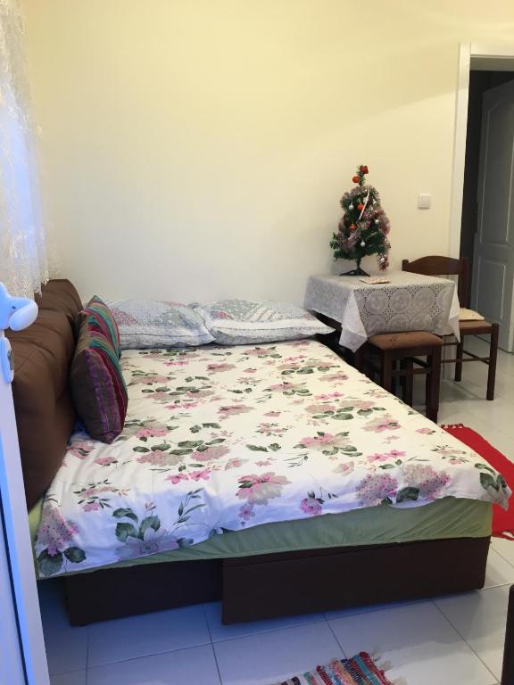 Apartment Vistanova photo