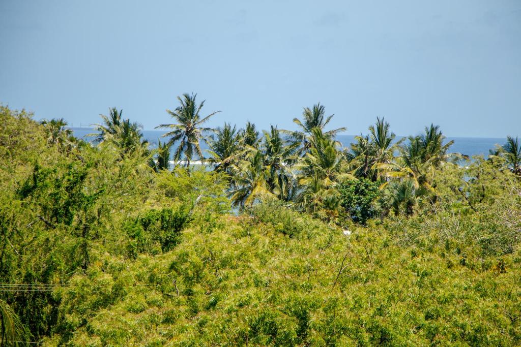 ทัศนียภาพ
