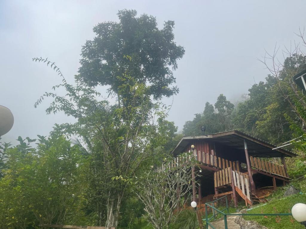 Forest Guesthouse, Samoeng
