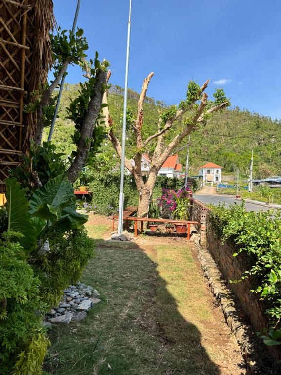 Surrounding environment