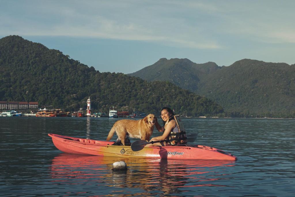 Programlehetőségek