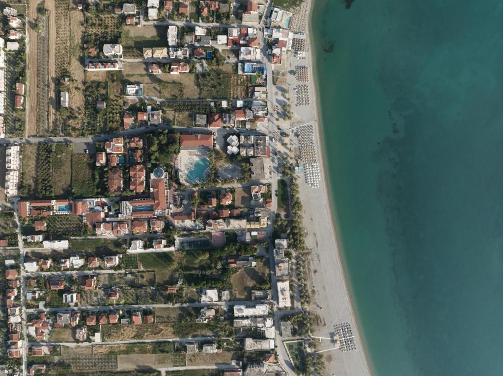 주변 환경