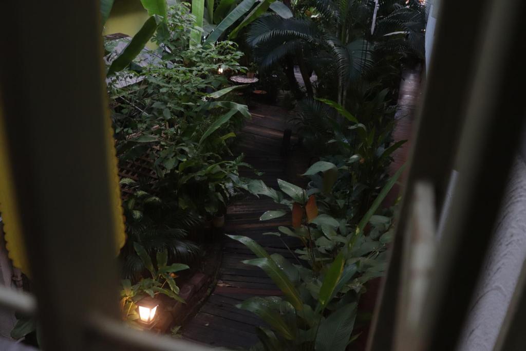 Surrounding environment