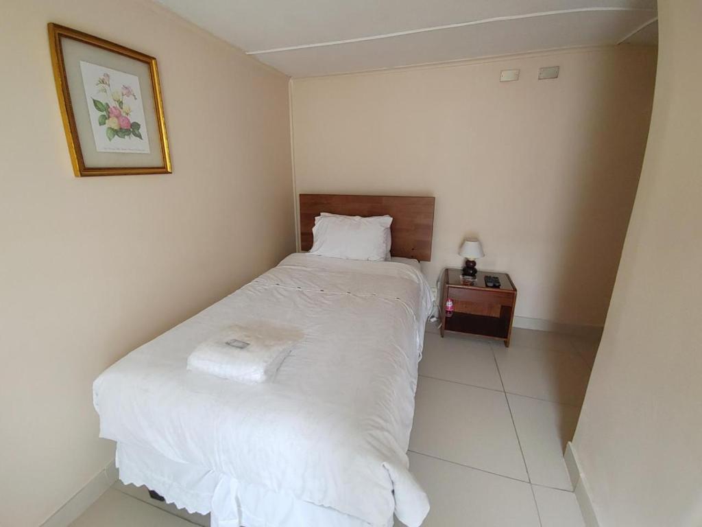 Hostal Sevilla Temuco - 3
