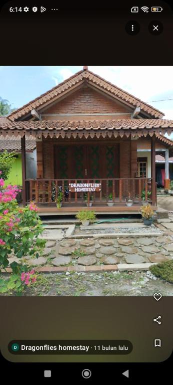 Dragonflies Homestay, Kembanglimus