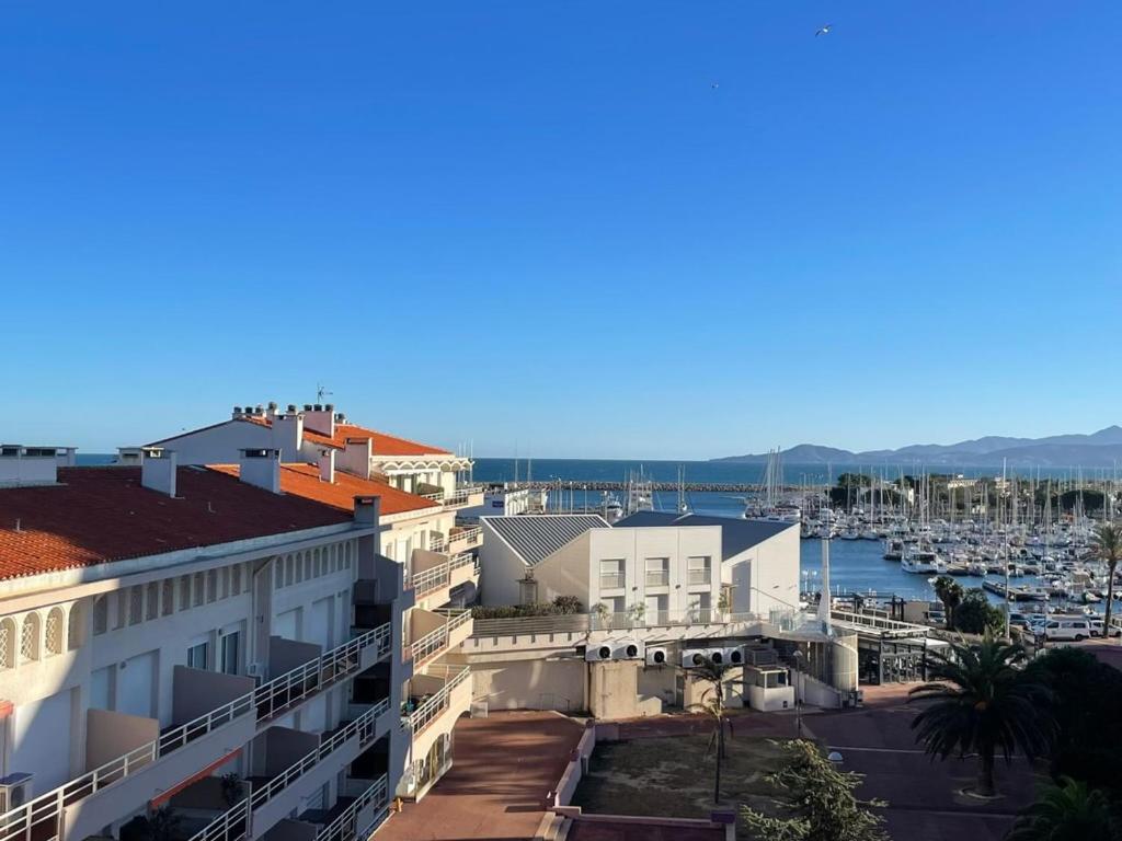 Appartement T3 au Port de Saint-Cyprien avec Terrasse et Climatisation - FR-1-309-483 - 1