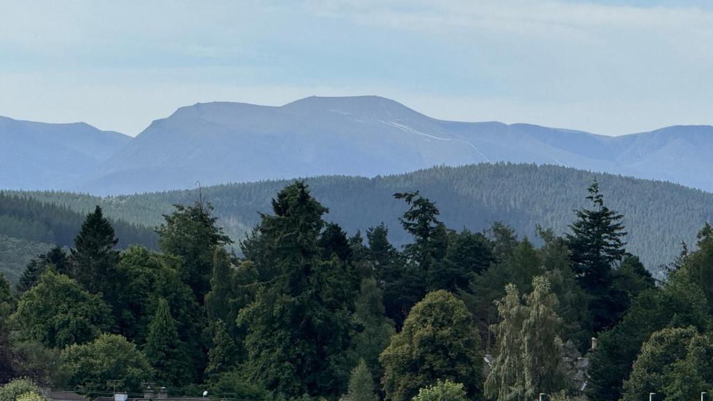 Wildcat Lodge, Grantown-on-Spey photo 7