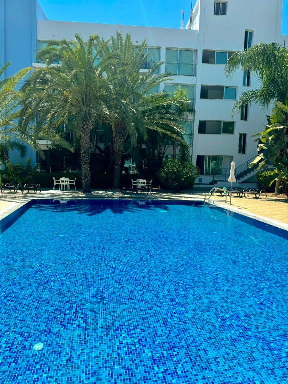 One-bedroom beach apartment 30m from an amazing beach Coralli 전경