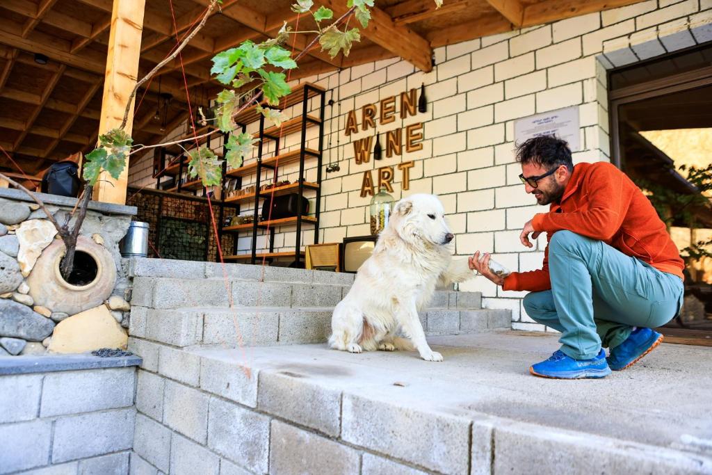 Areni Wine Art, Areni