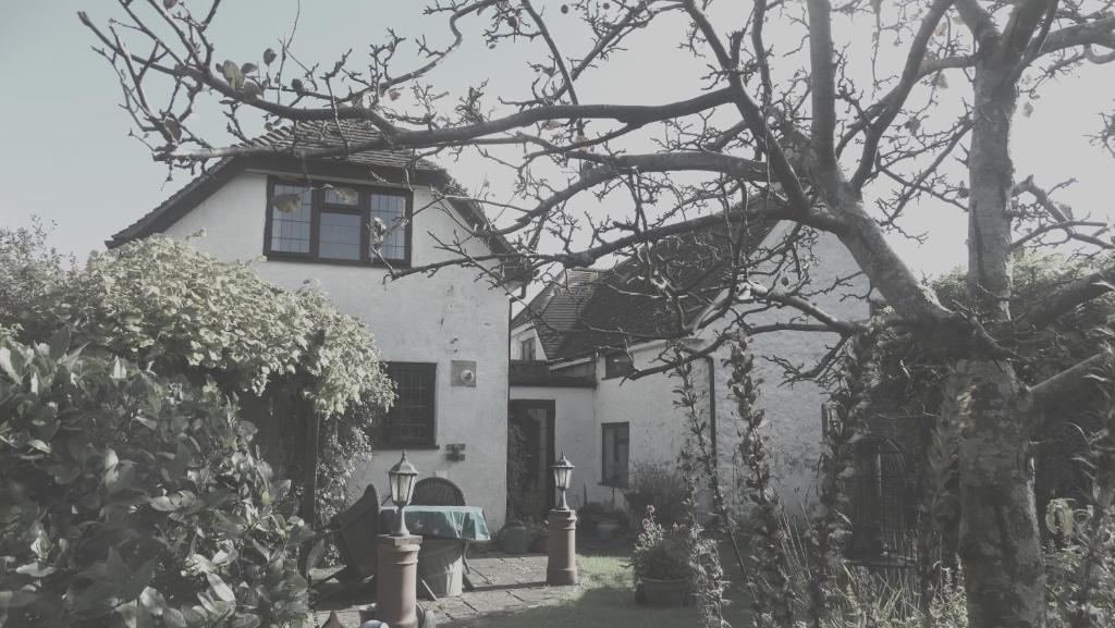 Cosy Cottage in Verwood, Dorset, Verwood