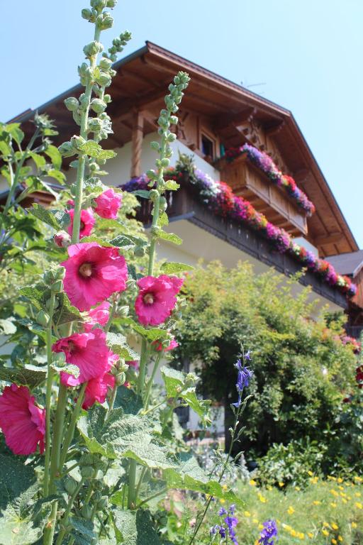 Kastnerhof - 2