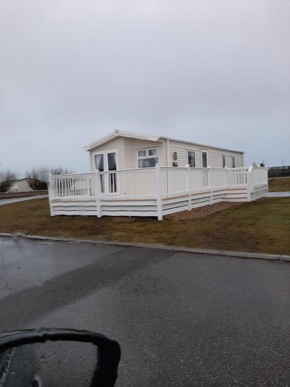 Swallows at Silversands, Lossiemouth