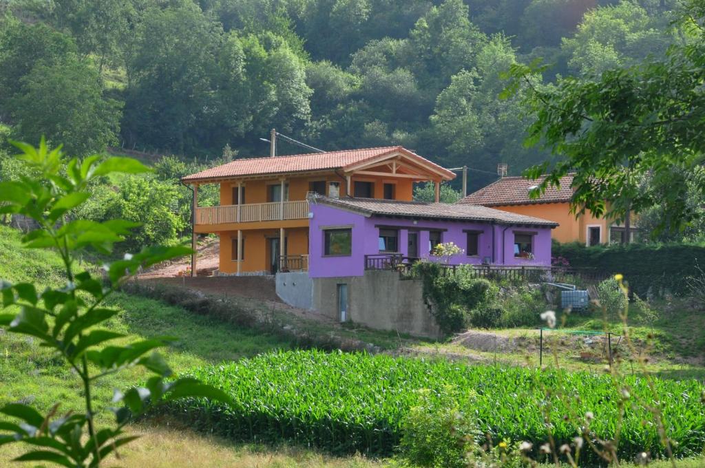 PicuAstur - 4