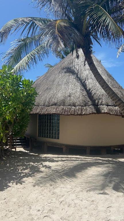 Exterior view
