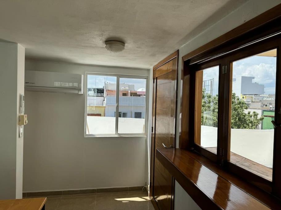 Suites Amplias en Quinta Avenida - 3