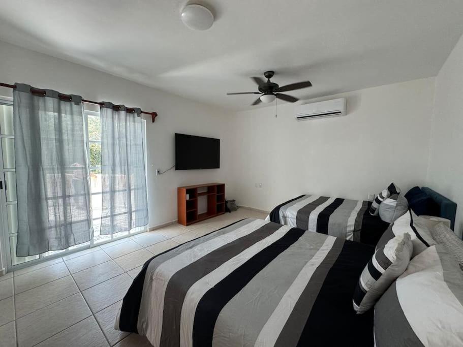 Suites Amplias en Quinta Avenida - 5
