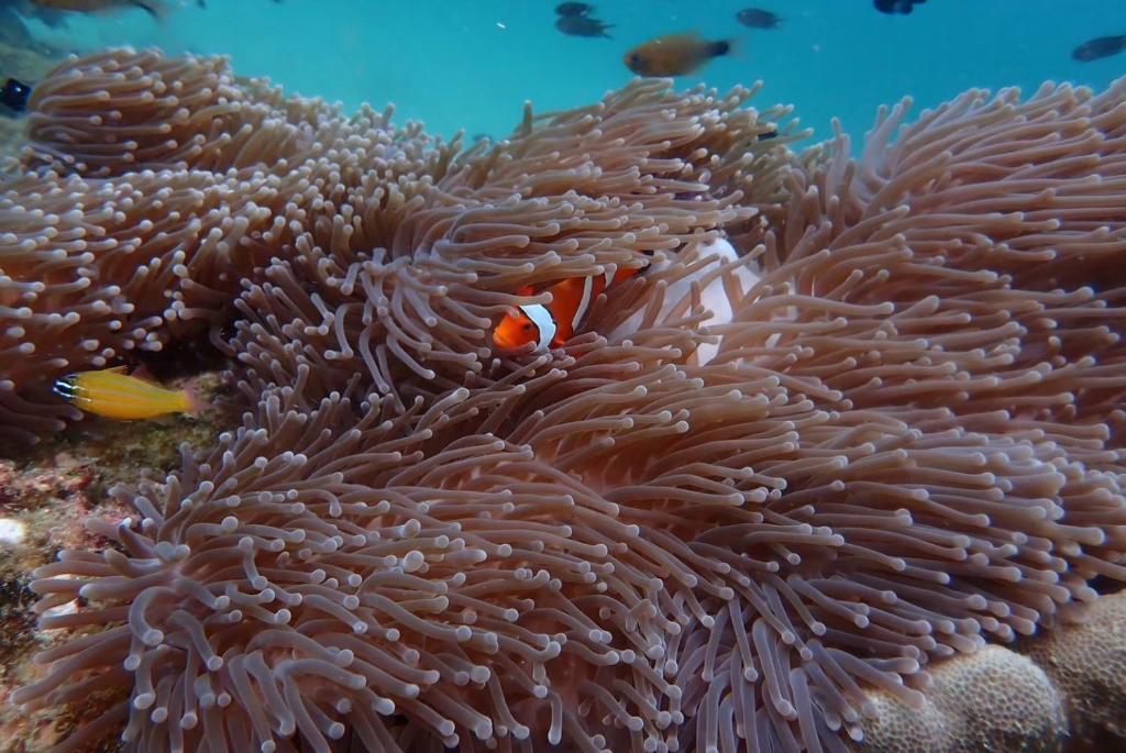 Sports and activities