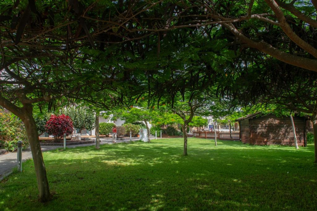 Las Marismas de Corralejo — Attractions in the area in Corralejo, Canary Islands