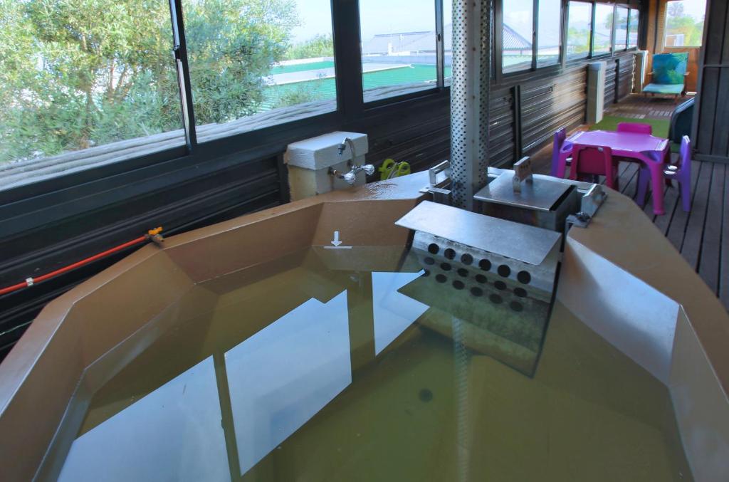 Klopdisselboom, Langebaan, 10-sleeper, Langebaan