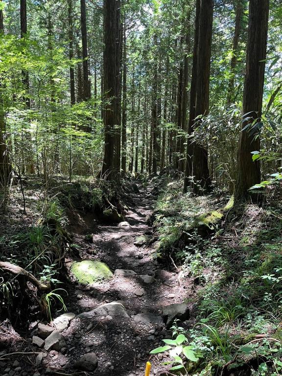 ที่เที่ยวใกล้ที่พัก