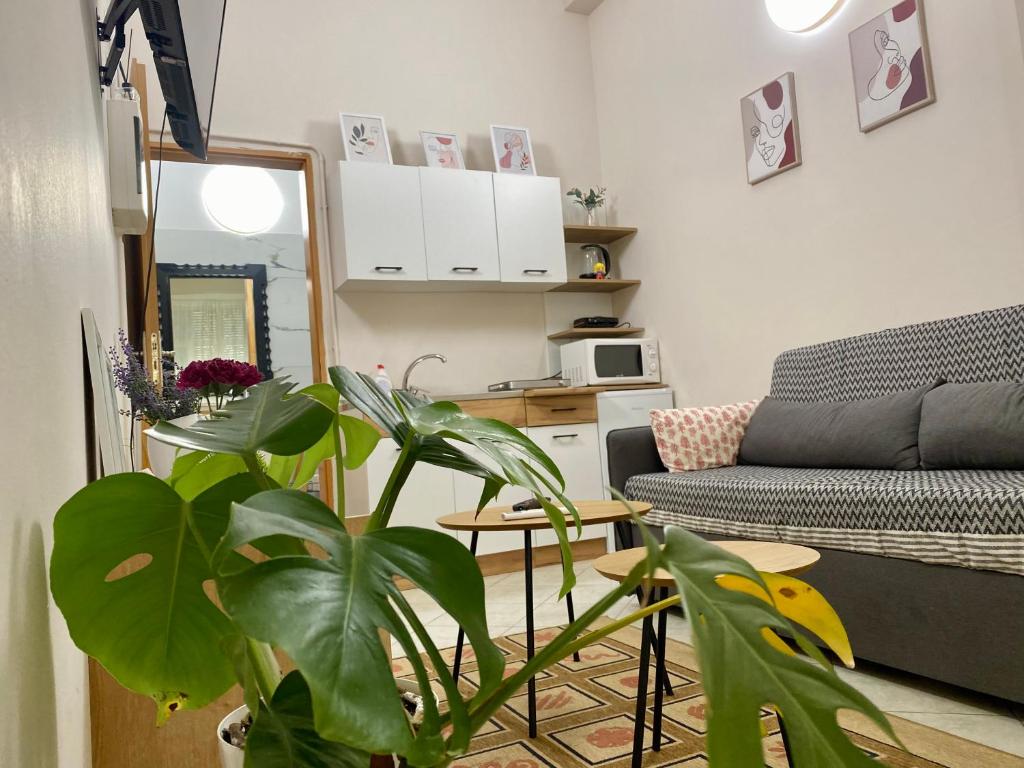 Dori's Wilson Studio at Blloku Neighborhood, Tirana