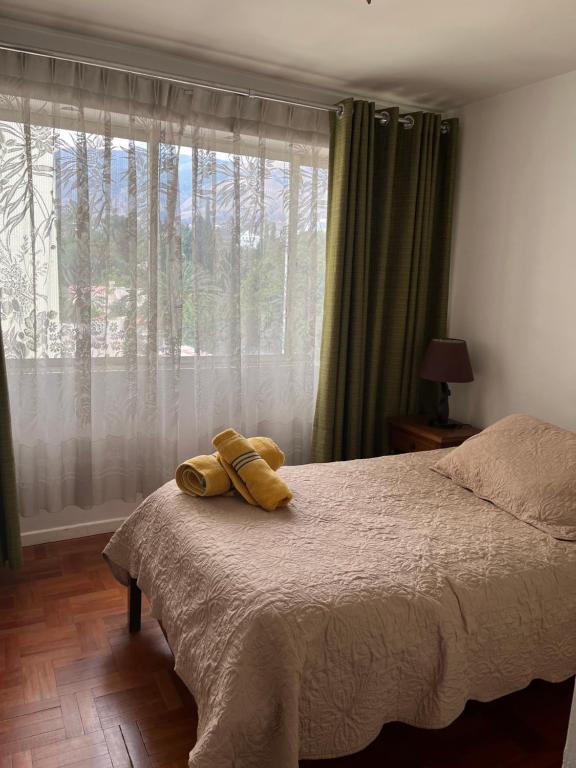 Céntrico y cómodo apartamento - 3