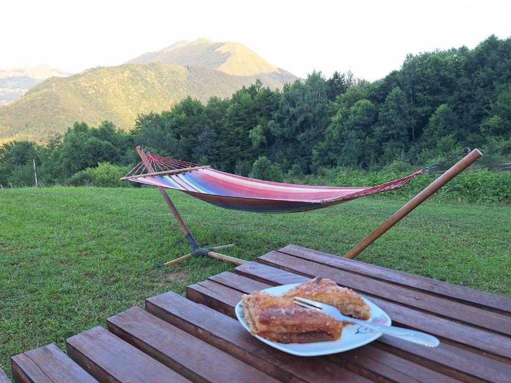 Surrounding environment