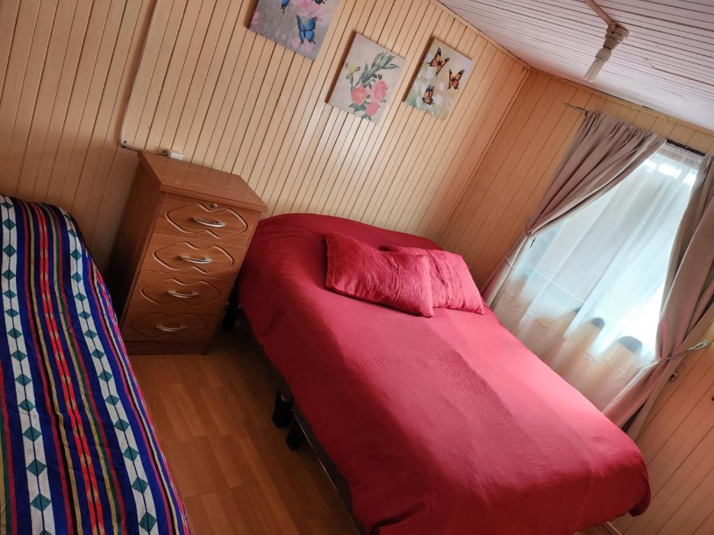 Cabaña Terraza Choshuenco - 2