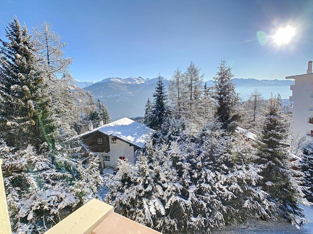 Crans-Montana Luxe & Charme Appartement - Ski in & Out Mountain View Golf & VTT - 2